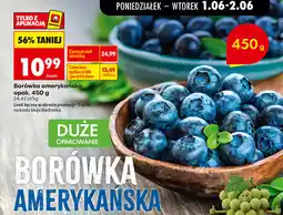 Biedronka Borówka amerykańska oferta