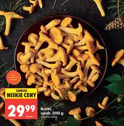 Biedronka Kurki oferta