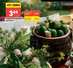 Biedronka Zestaw do kiszenia ogórków oferta