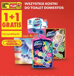 Biedronka Wszystkie kostki do toalet Domestos oferta