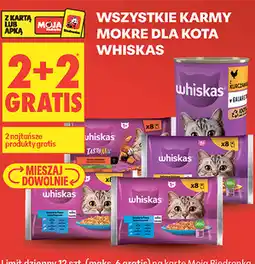 Biedronka Karma mokra dla kota Whiskas oferta