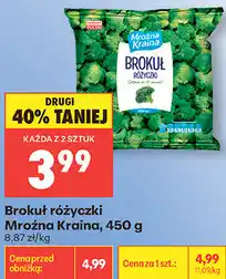 Biedronka Brokuł różyczki Mroźna Kraina oferta