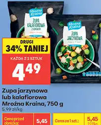 Biedronka Zupa jarzynowa lub kalafiorowa Mroźna Kraina oferta