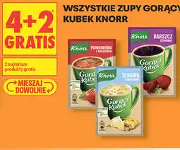 Biedronka Wszystkie zupy Gorący Kubek Knorr oferta