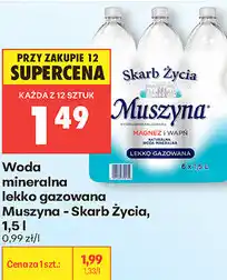 Biedronka Woda mineralna lekko gazowana Muszyna - Skarb Życia oferta