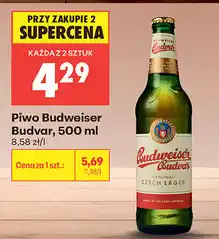 Biedronka Piwo Budweiser Budvar oferta