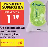 Biedronka Gąbka kąpielowa do masażu Oceania oferta