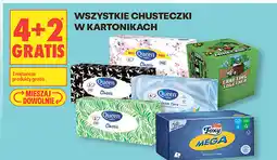 Biedronka WSZYSTKIE CHUSTECZKI W KARTONIKACH oferta