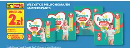 Biedronka Wszystkie pieluchomajtki Pampers Pants oferta