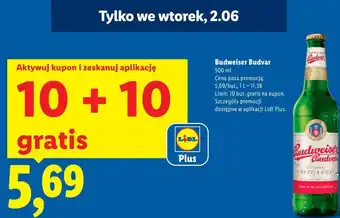 Lidl Budweiser Budvar oferta