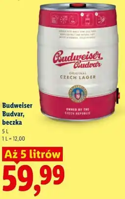 Lidl Budweiser Budvar, beczka oferta