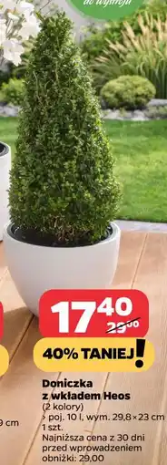 Netto Doniczka z wkładem Heos (10 l) oferta