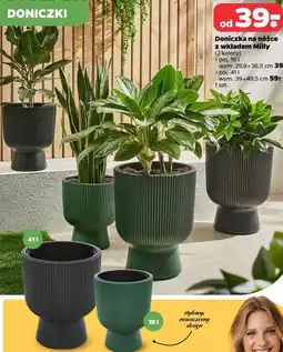 Netto Doniczka na nóżce z wkładem Milly oferta