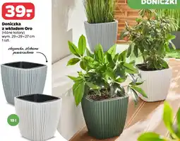 Netto Doniczka z wkładem Oro oferta