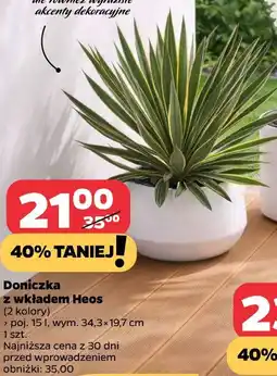Netto Doniczka z wkładem Heos (15 l) oferta