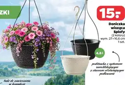 Netto Doniczka wisząca Splofy oferta