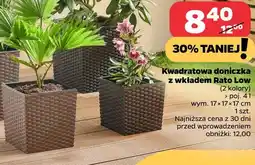 Netto Kwadratowa doniczka z wkładem Rato Low oferta