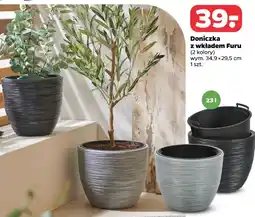 Netto Doniczka z wkładem Furu oferta