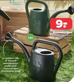 Netto Konewka Koni oferta