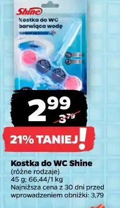 Netto Kostka do WC Shine barwiąca wodę oferta
