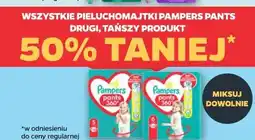Netto Wszystkie pieluchomajtki Pampers Pants oferta