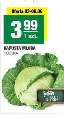 Spar Kapusta młoda polska oferta