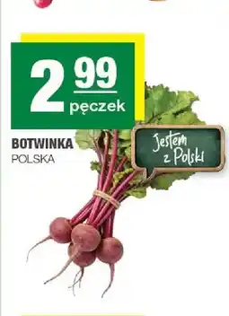 Spar Botwinka polska oferta