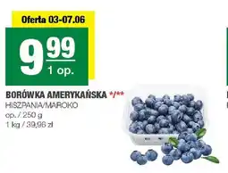 Spar Borówka amerykańska Hiszpania/Maroko oferta