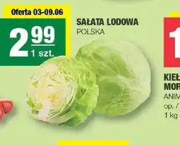 Spar Sałata lodowa Polska oferta