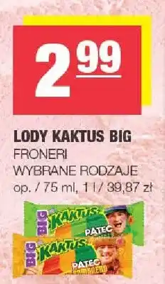 Spar Lody Kaktus Big oferta