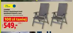 Lidl Zestaw 2 aluminiowych foteli ogrodowych Valencia szary LIVARNO oferta