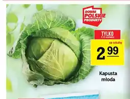 Gram Market Kapusta młoda oferta