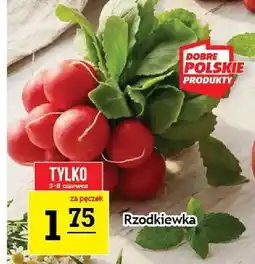 Gram Market Rzodkiewka oferta