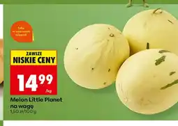 Biedronka Melon Little Planet na wagę oferta