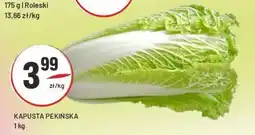 Sedal Kapusta pekińska roleski oferta