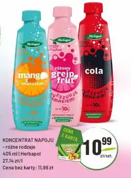 Sedal Koncentrat napoju herbapol oferta