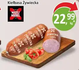 Passa Madej Wróbel Kiełbasa Żywiecka oferta