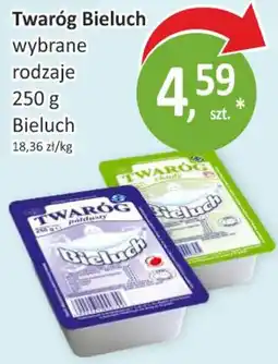 Passa Bieluch Twaróg oferta