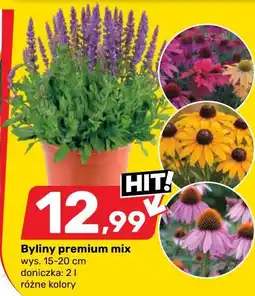 Bricomarche Byliny premium mix oferta
