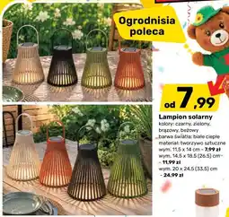 Bricomarche Lampion solarny oferta