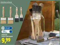 Lidl PARKSIDE Zestaw 4 lub 8 pędzli oferta