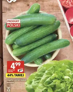 Delikatesy Centrum Ogórki szklarniowe polskie oferta