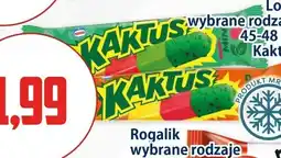 Kupiec Lody Kaktus oferta