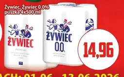 Kupiec Piwo Żywiec Premium 4-pak oferta