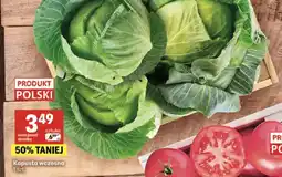 Delikatesy Centrum Kapusta wczesna polska oferta