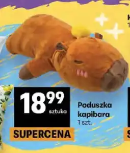 Delikatesy Centrum Poduszka kapibara oferta