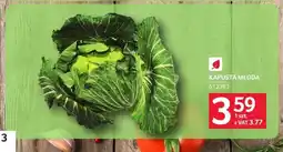 Selgros Kapusta młoda oferta