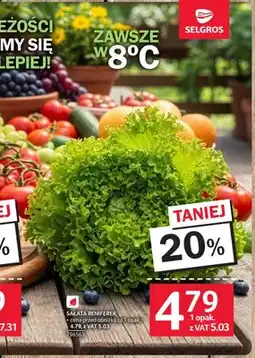 Selgros Sałata reniferek oferta