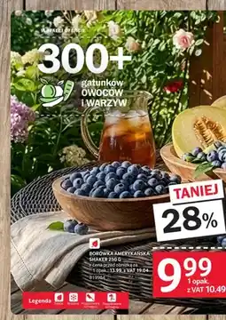 Selgros Borówka amerykańska shaker oferta