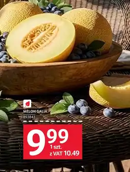 Selgros Melon oferta